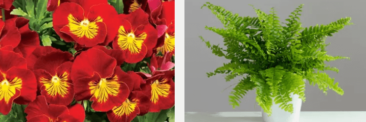 gardening direct product image