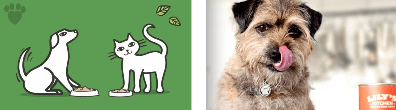 Lily&apos;s Kitchen banner - cartoon image of cat and dog and photo of a dog looking at a can of dog food