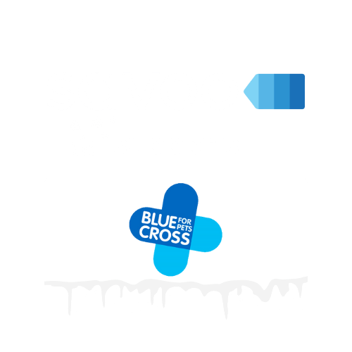 Savoo supports Blue Cross